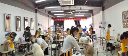 上海建文宠物美容学校