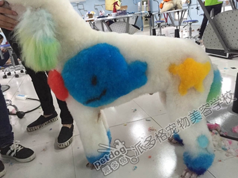 萨摩耶犬介绍视频-派多格宠物美容学校