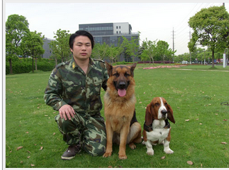 上海百顺宠物训练中心